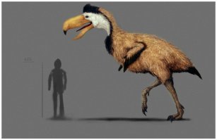 Моему сыну снится сон как по школе детей гоняют гасторнисы - птицы чудовищных размеров
а на стороне детишек птичкам противостоит Джейсон из Пятницы 13