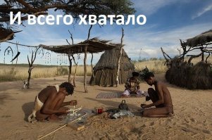 Прикольные и смешные картинки