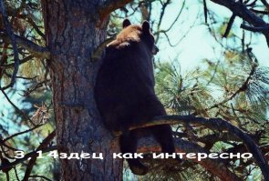 Чем вас опять накормили
