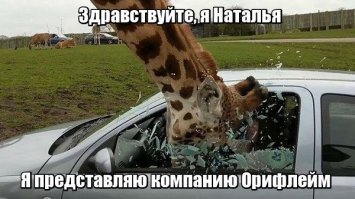 25 эпических неудач от людей, у которых день был в сто раз хуже, чем ваш