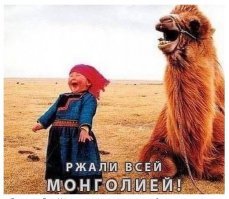 25 подружек и жен с отличным чувством юмора