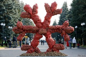 Смешные комментарии из соцсетей