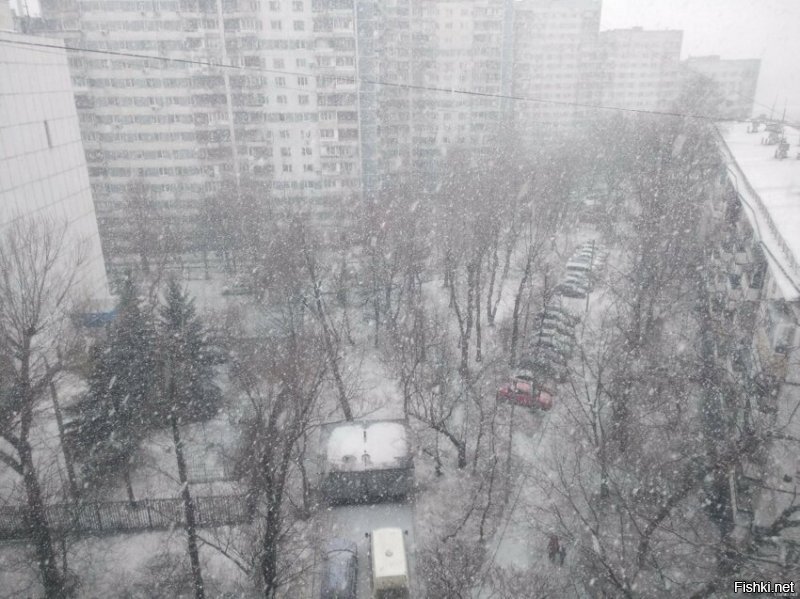 ага,Москва 10й день