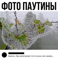 Смешные картинки и надписи  