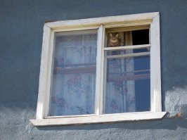 Окна в "хрущовке" обычно с двумя рамами.