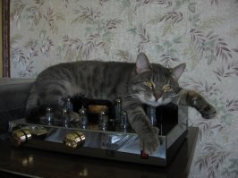 Женщина и бомж