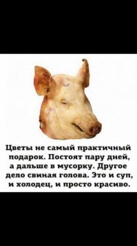 Тоша,там тебе Хакон замуж предлагал,отпишись,что у вас получилось,нам всем интересно:)