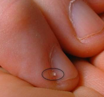 20 вещей из повседневной жизни, которые всех раздражают