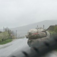 Перевозчики