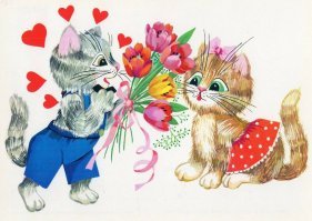 Котиков люблю.