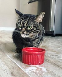 Для утреннего воскресного настроения