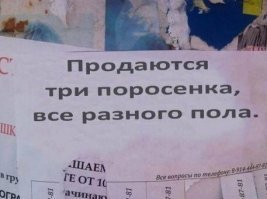 В наше время это вполне нормально.