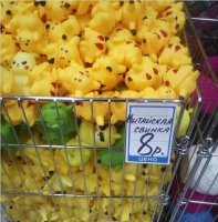 А что не так с китайской свинкой?