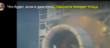 В Австралии ястреб залетел в двигатель взлетающего  военно-транспортного  самолета