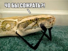 Титанобоа – змея-монстр