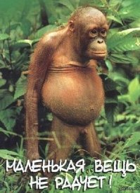 Против природы не попрешь: 65-летний миллиардер умер во время операции по увеличению члена