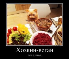 Картинки с надписями