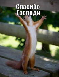 Скрины из социальных сетей