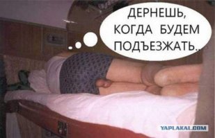 Попутчицы бывают двух типов. Этот пост про тех, которые на диете