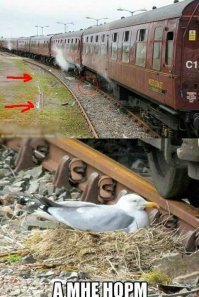 Нет, рельс кто-то уже спёр.