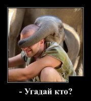 Я бы не торопился с ответом! *фото властелина* :))))