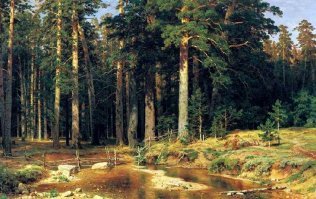 Красивые картины с пейзажами у Шишкина И.И.