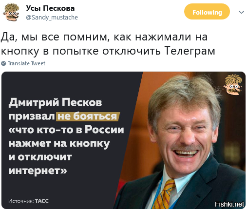 Усы пескова картинка