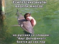 Пеликан ударом клюва проучил поймавшего его мужчину