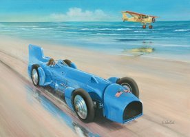 вот зарубежные "синие птицы" (bluebird) :)