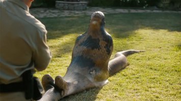 А я-то подумал, что закончится так...