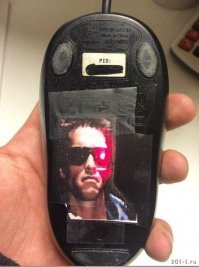 Люди делятся весёлыми обоями, которые они создали, чтобы обыграть фронтальные камеры телефонов