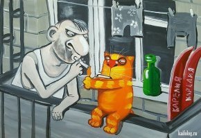 Лучше бы бухнул с котиком.