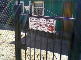 17 случаев, когда за табличкой «Осторожно, злая собака» скрывалось вовсе не то, чего стоило ожидать