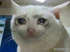 Ну жалко же животину!