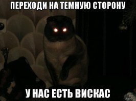 Прикольные и смешные картинки
