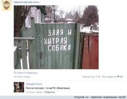 17 случаев, когда за табличкой «Осторожно, злая собака» скрывалось вовсе не то, чего стоило ожидать
