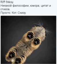 «Взгляд снизу»: чудные фотографии животных в проекте Андриуса Бурбы