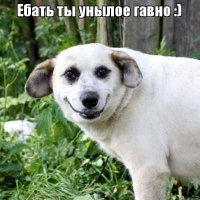 Смоленские пожарные спасли из горящей квартиры женщину и откачали ее кота