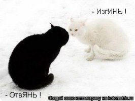 Прикольные и смешные картинки