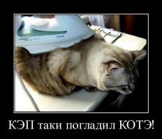 Прикольные и смешные картинки