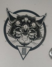 Что означает сиё изображение? Может кто знает? 
Метро,Санкт-Петербург, Красная ветка.