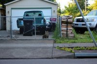 - Наша кошка съела вашу крысу 
- Это не крыса, это собака.
- Раз съела - значит крыса