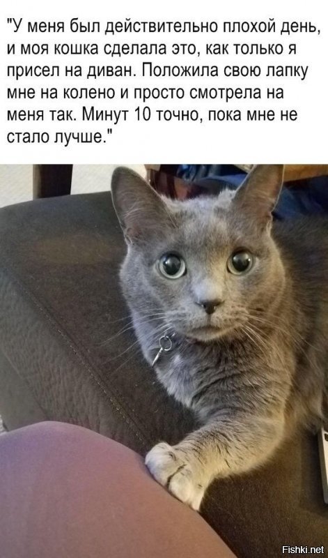 Я про это