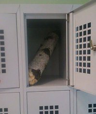 Кто-то жену свою забыл.