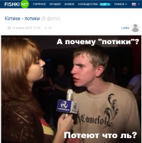 Котики - потики