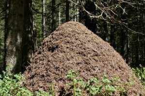 Печальная история китайского города-крепости Коулуна, который снесли в 1994 году