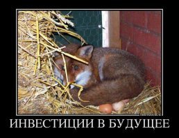 Крупный бизнес признал Россию непригодной для инвестиций