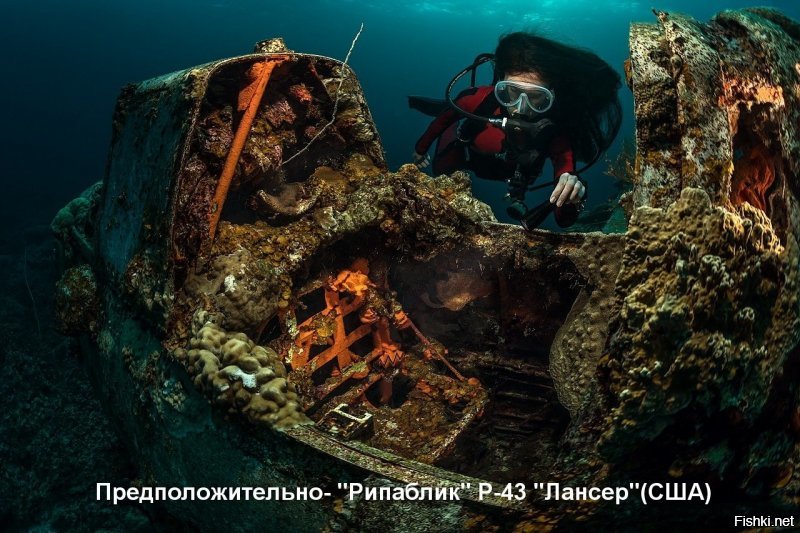 Попробовал что-то определить.