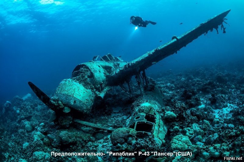 Попробовал что-то определить.