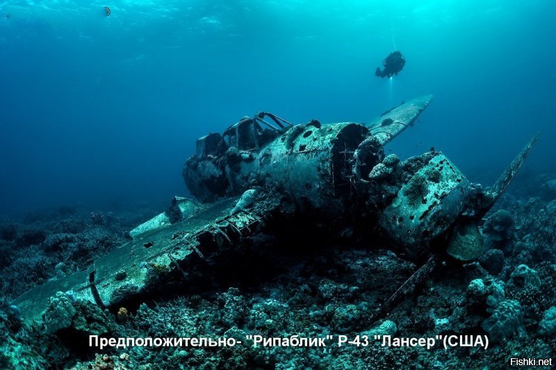 Попробовал что-то определить.